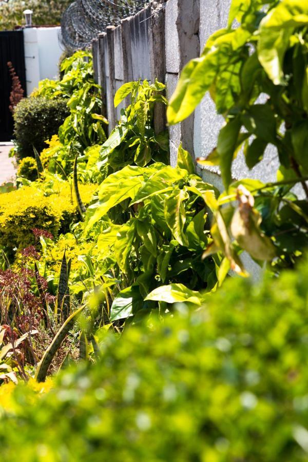Kwampofu Guest House Хараре Екстериор снимка